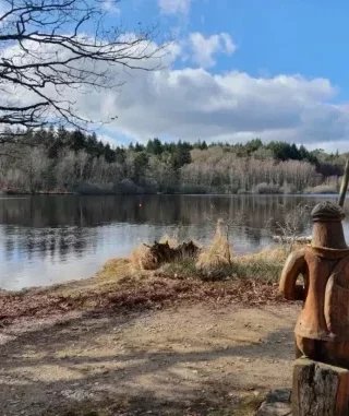 Camping Bois et Nature - Royère-de-Vassivière - Le camping
